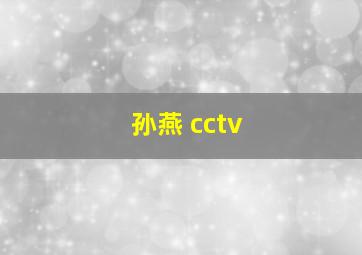 孙燕 cctv